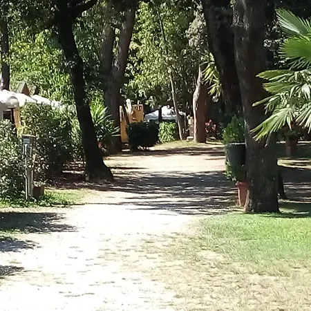 Cabana Camp *