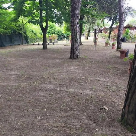 Kamp alanı Cabana Camp
